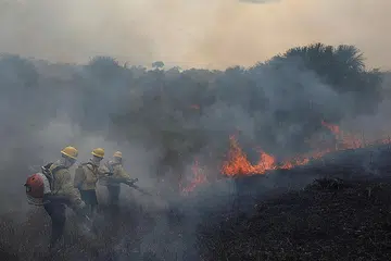 PADAM API: Sekumpulan anggota bomba cuba mengawal api yang merebak di hutan Amazon di Brazil pada 5 September 2021. Ogos dan September adalah kemuncak musim kemarau di hutan itu. - Foto REUTERS 