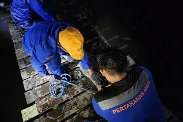 buaya