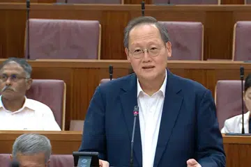 isu gaji menteri, Tan See Leng, gaji sektor swasta