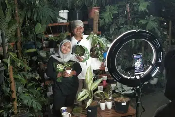 ACARA POPULAR SERANTAU: Acara lelong pokok-pokok eksotik yang disiarkan secara penstriman langsung dalam talian kian popular di rantau ini sejak tahun lepas. Acara serupa (gambar) diadakan di ladang pembekal Sindo Plant Singapore di Jawa Timur, Indonesia. - Foto SINDO PLANT SINGAPORE