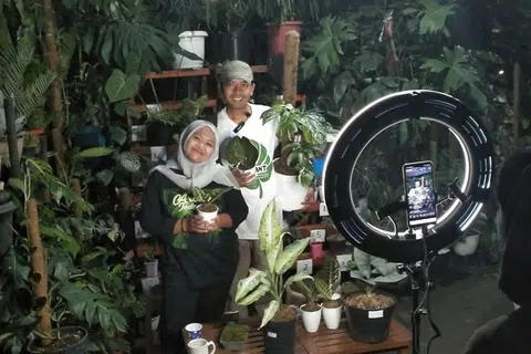 ACARA POPULAR SERANTAU: Acara lelong pokok-pokok eksotik yang disiarkan secara penstriman langsung dalam talian kian popular di rantau ini sejak tahun lepas. Acara serupa (gambar) diadakan di ladang pembekal Sindo Plant Singapore di Jawa Timur, Indonesia. - Foto SINDO PLANT SINGAPORE