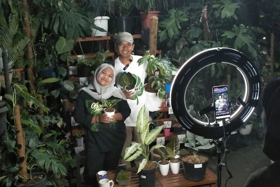 ACARA POPULAR SERANTAU: Acara lelong pokok-pokok eksotik yang disiarkan secara penstriman langsung dalam talian kian popular di rantau ini sejak tahun lepas. Acara serupa (gambar) diadakan di ladang pembekal Sindo Plant Singapore di Jawa Timur, Indonesia. - Foto SINDO PLANT SINGAPORE