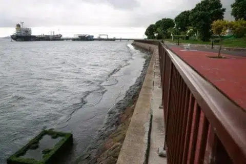 pertahanan pantai, Singapura, projek perlindungan pantai, teknologi mesra alam