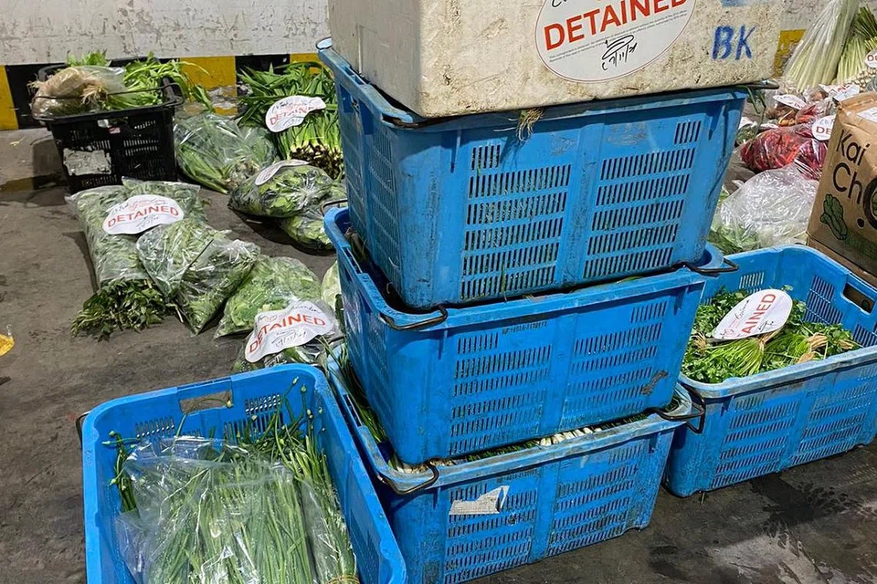 Sekitar 378kg buah-buahan dan sayur-sayuran segar yang tidak diisytiharkan telah dikesan dan dirampas November lalu. Foto oleh SFA