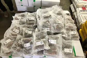 ELAK SALAH GUNA: Yocorn Food Enterprise Pte Ltd dan seorang pengarahnya masing-masing disaman $35,000 dan $20,000 kerana menjual itik salai menggunakan logo halal palsu dari luar negara. Muis akan perkukuh rejim kawal selia Badan Pensijilan Halal Asing (FHCB) bagi mengelak salah guna logo halal luar negara. 
