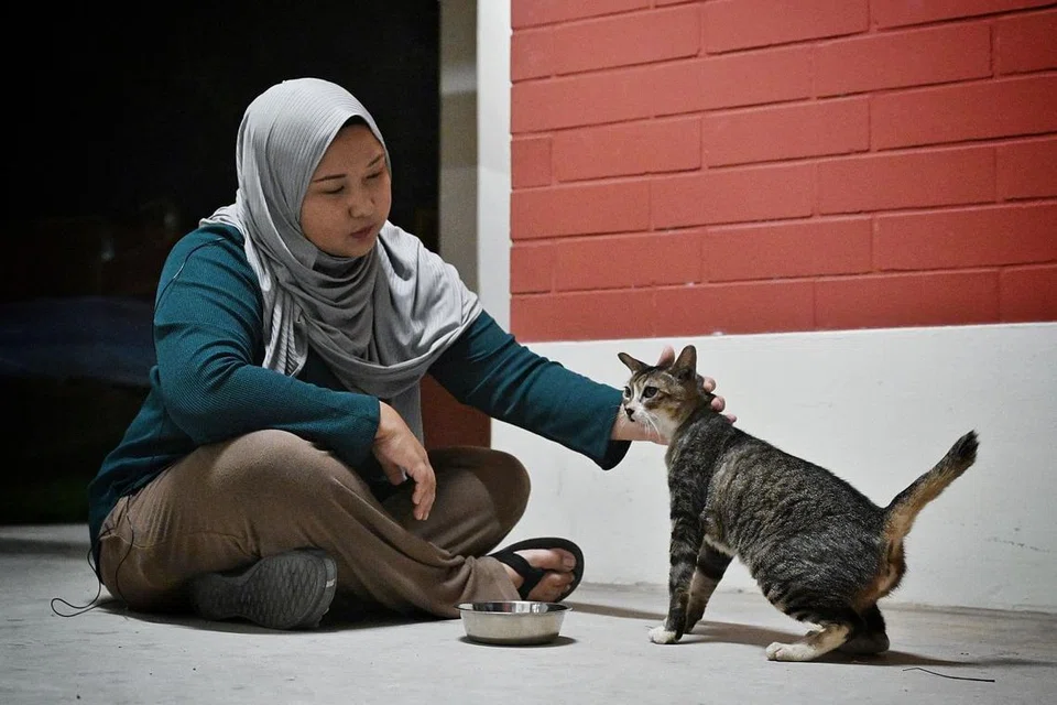 PENCINTA KUCING: Cik Nur Faezah Mat Aris, yang menyokong program TNRM, sedang memberi makan kepada kucing masyarakat di kawasan kejiranannya.