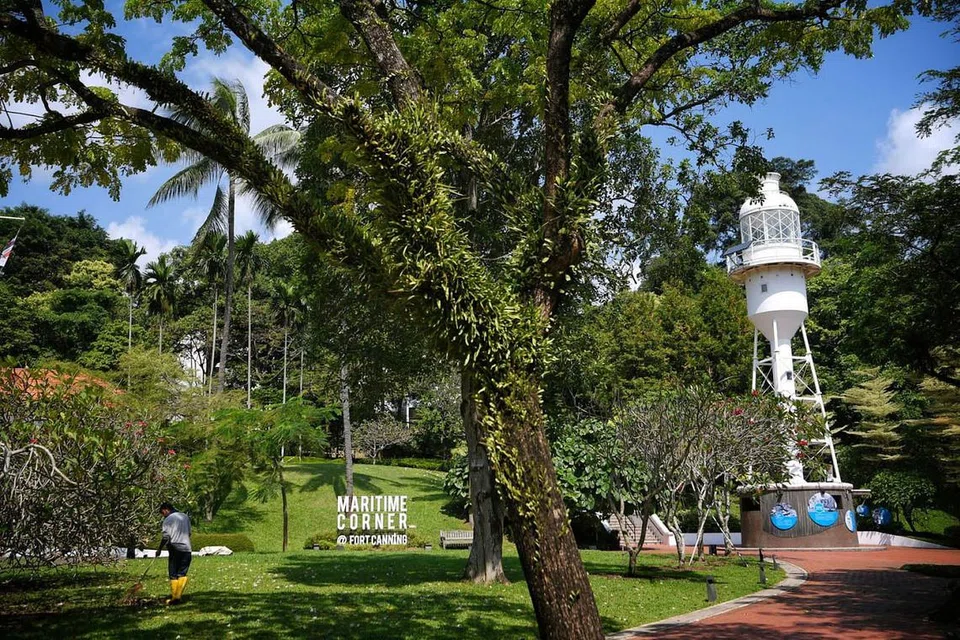 HIDUPKAN SEMULA SEJARAH TAMAN: Teres Raffles sekarang akan dibangunkan menjadi Kebun Raffles. Kebun ini akan ditanam dengan tumbuh- tumbuhan yang berkait dengan Sir Stamford Raffles seperti periuk kera. - Foto SPH