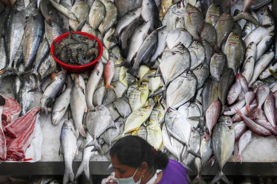 Undang-undang yang dicadangkan akan menyatukan semua jenis makanan, termasuk daging, ikan, telur, buah-buahan dan sayur-sayuran, dan makanan yang diproses, di bawah satu had import 15 kilogram. Ini berbanding peraturan sekarang di mana had import ditentukan mengikut jenis makanan, misalnya seseorang hanya boleh mengimport 5 kilogram daging atau 5 kilogram ikan.