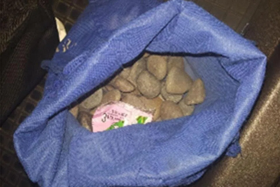 9ba3a255-cabb-4551-926e-c447af511dad