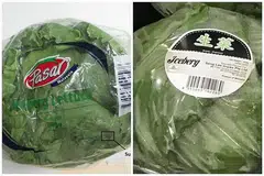 DITARIK BALIK: AVA telah mengesan penggunaan racun perosak Fipronil yang tinggi pada daun salad keluaran jenama Pasar dan Iceberg. - Foto AVA