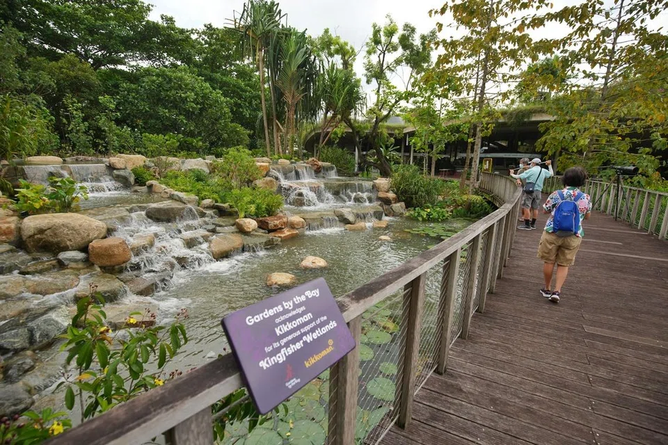 Gardens by the Bay bakal memperkenalkan satu tarikan baru – Wetlands by the Bay – iaitu tiga kali ganda saiz tarikan Kingfisher Wetlands dengan lebih 600 pokok bakau dan pokok pantai yang menampilkan kawasan bakau yang boleh dilayari dengan kayak.