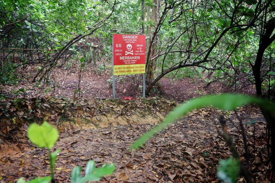 Lelaki itu sedang menunggang basikal pada 15 Jun di Hutan Simpanan Tadahan Air Bahagian Tengah (CCNR) apabila dia terkena tembakan. Kawasan tersebut diwartakan untuk latihan menembak menggunakan peluru hidup bagi Angkatan Bersenjata Singapura (SAF). 
