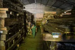 DIJAGA DENGAN TELITI: Mengawal gudang menyimpan kayu yang dirampas di kawasan bandar Socorro, Colombia. Kayu tersebut yang ditebang secara haram kini digunakan untuk membolehkan lebah membuat sarang.