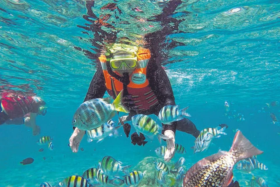 SELAMI KECANTIKAN LAUT: Penulis (gambar) ghairah bersnorkel di Pulau Rubiah, pulau kecil yang jauhnya hanya lima minit perjalanan menaiki bot laju dari Pantai Iboih, Pulau Weh, utara Aceh. Ikan-ikan di situ tidak takut dengan manusia, malah berkerumun apabila diberi makan mi segera. - Foto NURUL AIN RAZALI