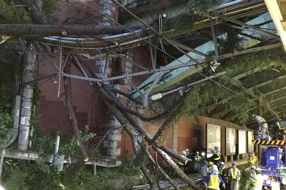Kakitangan syarikat kereta api Jepun, JR East, menggerakkan dahan-dahan dari stesen Yotsuya di Tokyo selepas taufan Trami melanda kawasan itu. Foto: AFP 