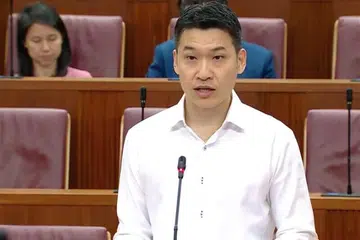 Sokongan sukan, Team S’pore, Parlimen, David Neo