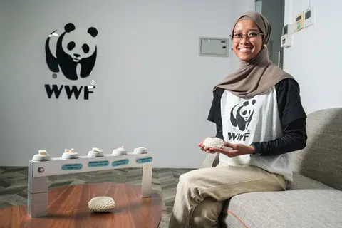 USAHA TINGKAT KESEDARAN: Pegawai eksekutif kanan Dana Kehidupan Liar Sedunia (WWF)-Singapura, Cik Amira Rafi, terlibat dalam usaha pemuliharaan melalui pendidikan dan program jangkauan masyarakat.