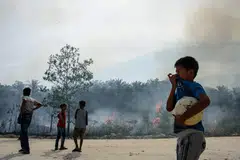 Kanak-kanak memerhati kebakaran hutan di Karya Indah, wilayah Riau pada 19 Julai 2025. 