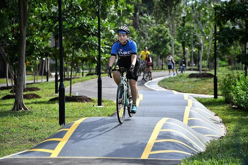 LALUAN BASIKAL BERBUKIT: Taman Penunggang Basikal baru di Taman East Coast antara lain memaparkan litar basikal berbukit-bukit untuk mencabar pengguna dalam kemahiran berbasikal lasak. - Foto BM oleh CHONG JUN LIANG