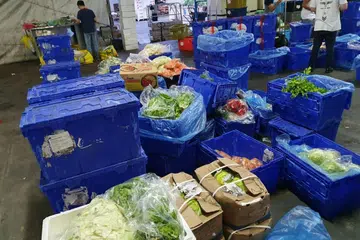 Firma CCL Impex (S) Pte Ltd didapati telah mengimport makanan segar dan makanan diproses itu yang tidak diisytiharkan atau tidak diisytiharkan dengan sepenuhnya seberat hampir 900 kilogram. - 