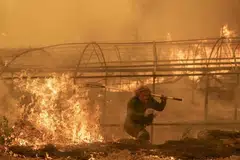 forest fire, Carballeda de Avia, Ourense, Galicia 