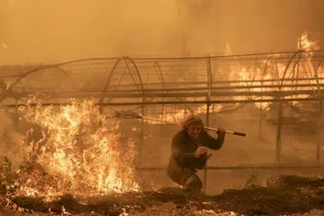 forest fire, Carballeda de Avia, Ourense, Galicia 