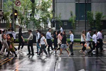 Menurut dapatan Tinjauan Barometer Asia (ABS) 2023 edisi Singapura, 36.2 peratus responden menyatakan mereka sangat tidak setuju dan 36.5 peratus tidak setuju dengan idea bagi negara ini menghapuskan pilihan raya dan parlimen, serta mempunyai seorang pemimpin yang menentukan semua perkara.