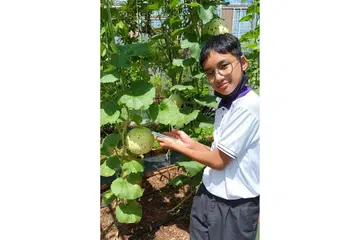 GEMBIRA DENGAN HASIL: Buah tembikai yang mengambil hampir tiga bulan untuk bertanam oleh Dinie adalah seberat 1.47 kilogram. - Foto SGF