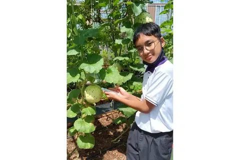 GEMBIRA DENGAN HASIL: Buah tembikai yang mengambil hampir tiga bulan untuk bertanam oleh Dinie adalah seberat 1.47 kilogram. - Foto SGF