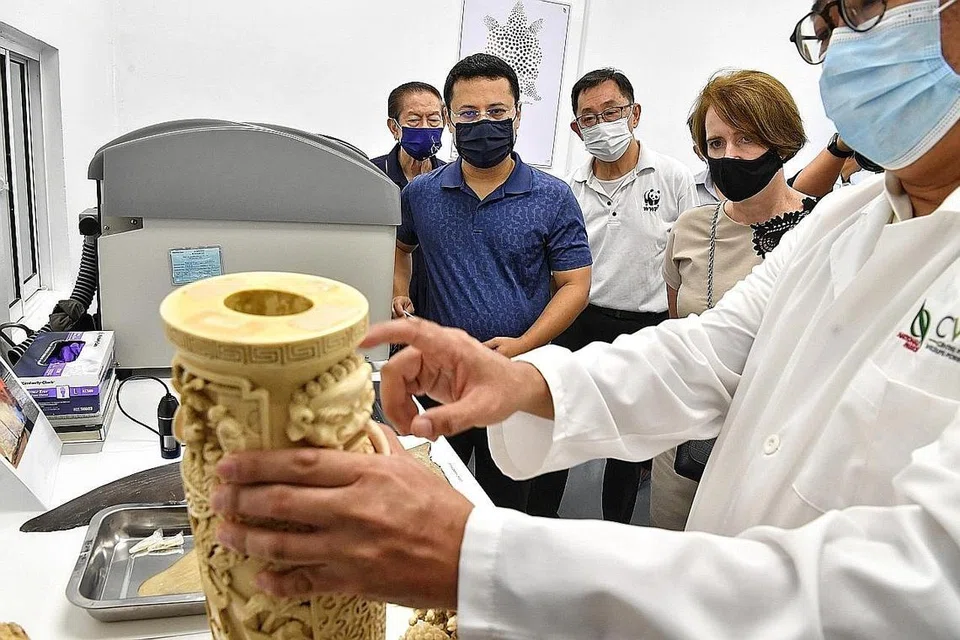 MEMULIHARA ALAM SEMULA JADI: (dua dari kiri) Encik Lee, bersama (dari kiri), Profesor Leo Tan, Pengerusi Dana Taman Bandar; Encik Joseph Koh, Penasihat Lembaga Dana Alam Semula Jadi Sedunia (WWF) dan Pengerusi Dana Pemuliharaan WWF, dan Cik Kara Owen, Pesuruhjaya Tinggi Britain melihat gading yang dirampas di Pusat untuk Forensik Kehidupan Liar semalam. - Foto BH oleh CHONG JUN LIANG