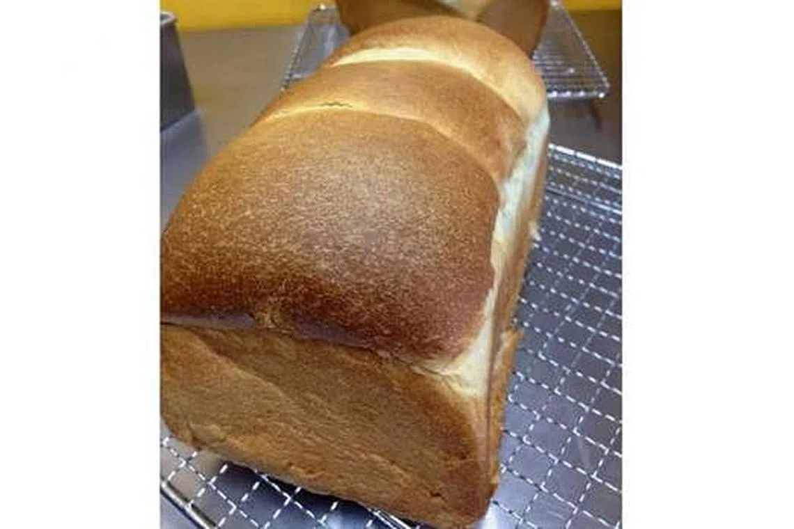 Belajar buat roti, Berita Rencana - Beritaharian.sg