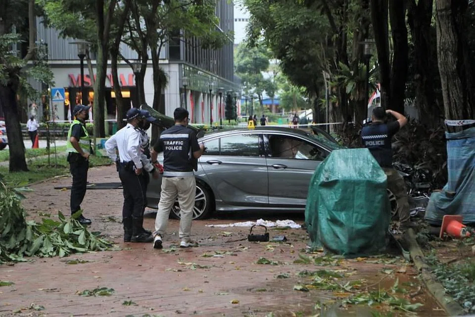 Foto SHIN MIN DAILY NEWS