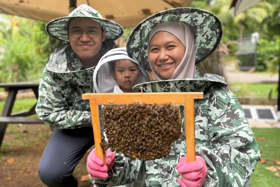 Penulis, Cik Nur Humaira Sajat, bersama suami, Encik Jefnilham Jamaludin, dan anak mereka, Muhammad Uwais Jefnilham, beranikan dekati lebah.