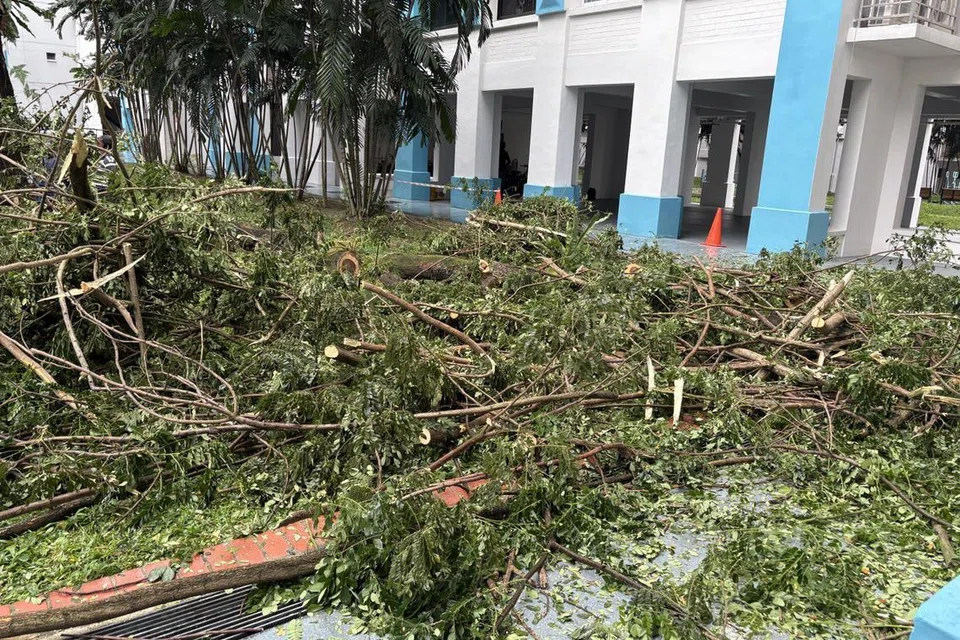 Dahan pokok tumbang di Blk 961 Hougang Ave 9 pada pagi Disember 2024.