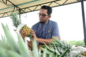 Pengerusi Lembaga Perindustrian Nanas Malaysia (LPNM), Sheikh Umar Bagharib Ali.