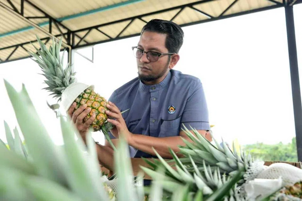 Pengerusi Lembaga Perindustrian Nanas Malaysia (LPNM), Sheikh Umar Bagharib Ali.