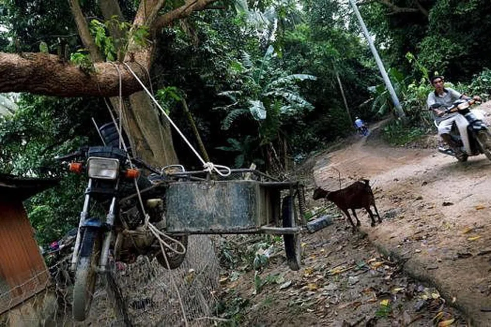 CUBA SELAMATKAN: Pemilik motosikal roda tiga ini cuba selamatkan motosikalnya. 