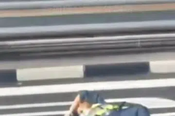 Pegawai wanita, 27 tahun itu terbaring di tengah jalan di Pusat Pemeriksaan Tuas selepas dilanggar motorsikal