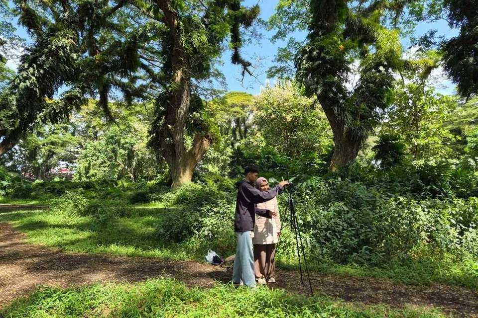 Cik Gisel Hidayu dan tunangnya, Encik Andhika Febriansyah, memetik gambar di hutan trembesi De Djawatan di Banyuwangi, Jawa Timur, Indonesia. Pasangan dari Lumajang itu berkata mereka tertarik dengan suasana alam semula jadi hutan berusia lebih 100 tahun tersebut dan sedang mempertimbangkan untuk mengadakan sesi fotografi sebelum majlis perkahwinan di situ.