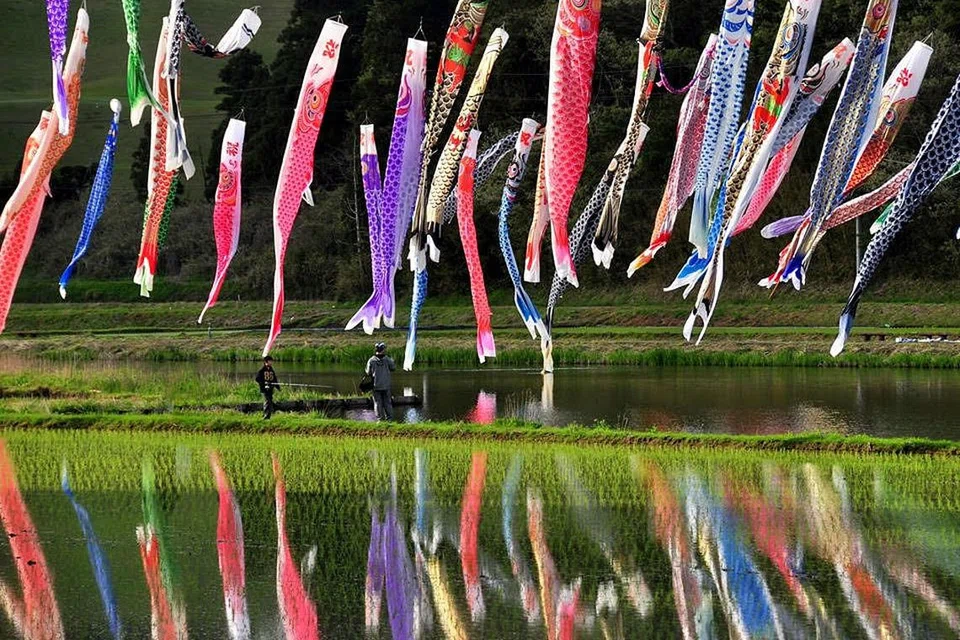 Sempena Hari Kanak-kanak 'koinobori' dikibarkan untuk meraikan setiap anak di Jepun - Foto JAPAN - THE GOVERNMENT OF JAPAN/FACEBOOK