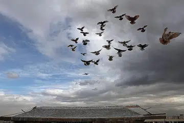 - Foto AFP