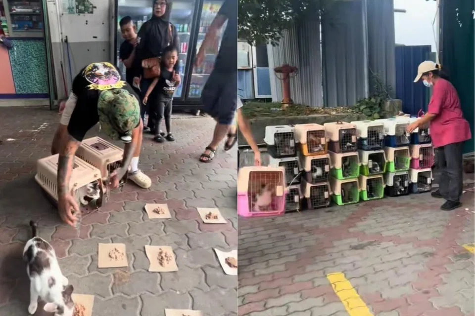 SAYANG KUCING: Project Help Meow memerangkap dan mengembiri kucing terbiar di sekitar Pandan City, Johor Bahru, sebelum melepaskannya semula.