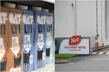 Oatly, pengeluar dari Sweden itu telah mengumumkan pada 18 Disember rancangannya untuk menutup kilang di Singapura sebagai usaha untuk meningkatkan struktur kos masa depan syarikat serta mengurangkan keperluan perbelanjaan modal pada masa akan datang.