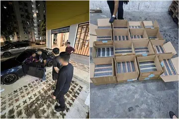vape, Singapore Police Force, vape components, pasir panjang, power bank 