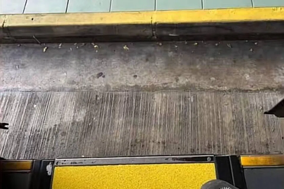 Gambar yang dipetik Cik Athirah menunjukkan jarak jauh bas ke susur jalan.