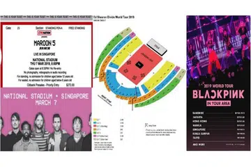 TIPU DALAM TALIAN: Remaja ditangkap kerana terlibat dalam sekurang-kurangnya 11 kes tipu dalam talian menjual tiket konsert melibatkan $5,400.