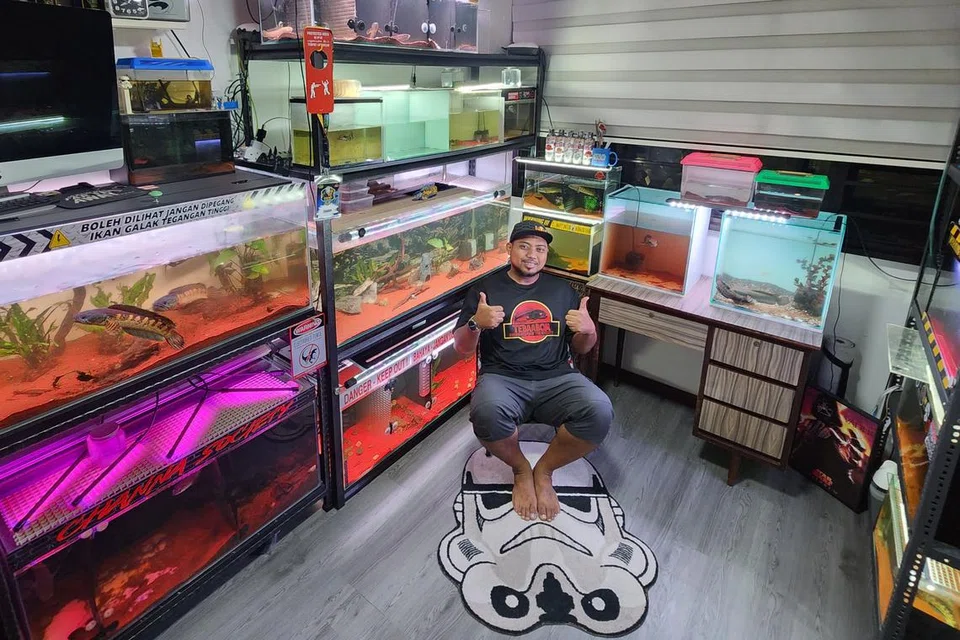 BILIK KHAS: Encik Zyratul Hafiz, seorang juruteknik, menghabiskan masa lapangnya memelihara ikan. Beliau juga mempunyai bilik khas untuk ikan-ikan kesayangannya.