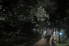 KAJIAN UNTUK BINA LALUAN: Tiga cedera selepas sebatang pokok besar tumbang di perkarangan Kelab Masyarakat Ulu Pandan petang Sabtu lalu. - Foto ZAOBAO