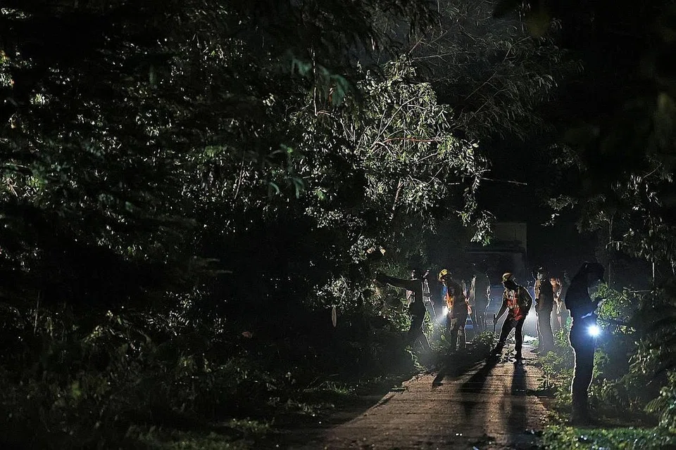 KAJIAN UNTUK BINA LALUAN: Tiga cedera selepas sebatang pokok besar tumbang di perkarangan Kelab Masyarakat Ulu Pandan petang Sabtu lalu. - Foto ZAOBAO