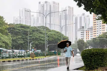 NEA, jerebu rentas sempadan, musim monsun, Perkhidmatan Kaji Cuaca Singapura, MSS